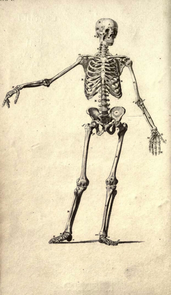 腰痛・すべり症の本当の原因とは？整体で根本改善を目指すアプローチを徹底解説